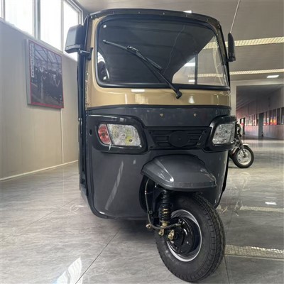 Краен електрически триколка за работа и семейство